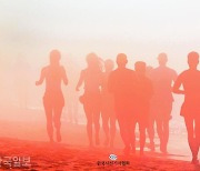 본보 왕태석, 서재훈, 이한호, 최주연 기자 이달의 보도사진상 수상