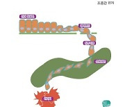 대전대한방병원 조종관교수, ‘암 전이 2년이 고비’ 신간발간