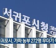 서귀포시, 가짜 농부 272명 무더기 적발