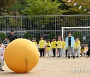 즐거운 가을 운동회 [포토뉴스]