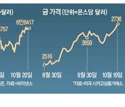 “트럼프 되기 전에 사놓자”…요동치는 자산시장 ‘이것’ 급등한다는데