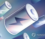 엘앤에프, 창사 첫 IR에도 싸늘…노무라증권은 ‘목표가 반토막’