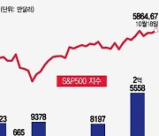 테슬라 주가 220달러 깨지자 매수 폭발…트럼프 수혜주에 관심[서학픽]