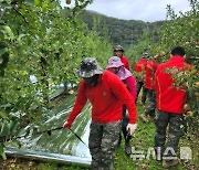 해병대 제1사단 장병 3200명 포항 농촌 일손 돕기