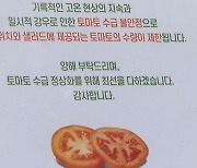 토마토·양상추 빠졌는데…가격은 '그대로'