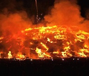 들불 놓아야 돼? 빼야 돼?… “들불축제 오름 불놓기 폐지 발표는 무효”