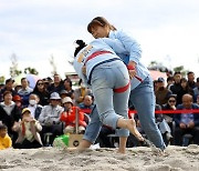 강진만 춤추는 갈대축제 26일 시작…달빛 야행까지