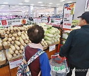 김장철 앞두고 배추·무 가격 강세