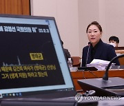 '명태균 폭로' 강혜경, 국감서 "김여사가 김영선 공천" 주장(종합2보)