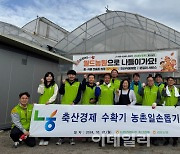 [포토] 농협 축산경제, 농촌 일손돕기