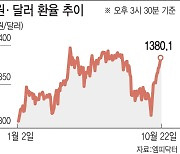 1380원 뚫은 환율…“1400원까지 열어둬야”