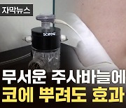 [자막뉴스] 주사기 대신 코로 흡입...카이스트, 새 백신 개발 '혁명'