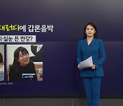 SNL '하니· 한강 패러디', 외모비하와 인종차별?... 갑론을박 [앵커리포트]