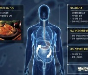 [뉴스속 이슈]위고비 대신 김치 어때? "체지방 2.6% 감소"