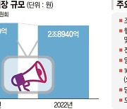 '광고 규제' 덫에 걸린 방송… 글로벌 OTT만 배불린다