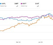 사상 최고가 엔비디아, 애플 제치고 시총 1위 탈환 눈앞