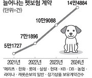 반려동물 가구 늘며 펫보험 계약도 최대