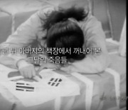 '노벨문학상' 한강이 걸어온 경이로운 길 [지식채널e]