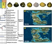 “1억 9천만년전 조개들은 왜 육상으로 옮겨갔을까”…중생대 판게아 대륙 분리 때문