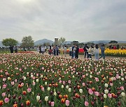 경주시, 에이펙 정상회의 앞두고 '친환경 녹색도시' 조성 행정력 올인