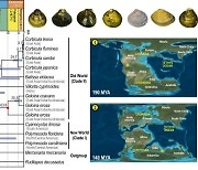 조개류는 어떻게 육지로 이동했나…진화 과정 밝혔다