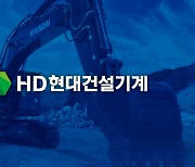 "3분기 쉽지 않네" 실적 한파 만난 HD현대건설기계