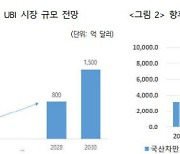 UBI시장 커지면 ‘테슬라 보험’ 나온다…보험료 9천억 환급 효과도