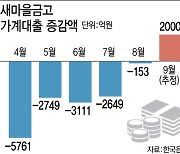 2금융권마저…새마을금고, 유주택자 주담대 막는다(종합)