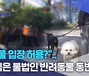 "동물 입장 허용?"..아직은 불법인 반려동물 동반 식당