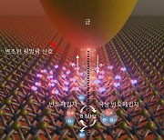 [과기원NOW] 포스텍, 차세대 초고속 반도체입자 변조기 개발 성공 外