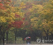 서리 내린다는 `상강`…비 그치고 기온 `뚝`