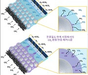 KIST, 국소 pH 제어 가능한 은-실리카 혼합 촉매 개발