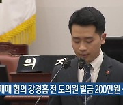 성매매 혐의 강경흠 전 도의원 벌금 200만 원 선고