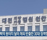 수백억 원어치 달러 해외 반출한 30대 징역형