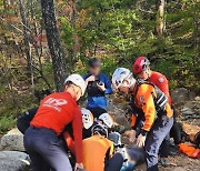 강풍에 설악산 나무 '뚝' …등산객 3명 깔려 중경상