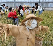 농촌진흥청 어린이 초청 벼베기, 탈곡 체험 행사 [포토뉴스]