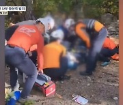 시속 132km 강풍에 고목 뚝…설악산 등산객 덮쳐