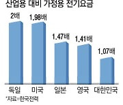 美·獨은 주택용 전기료가 2배 기업요금 낮춰 수출산업 지원