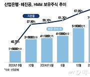 'HMM 주식 부자'된 산은, BIS 비율 변동성 확대…배당엔 미소