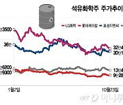 "중국 부양책 기대했는데"… 요지부동 석화주에 애끓는 투자자들