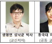 뽕나무 추출물서 신규 항암물질 개발