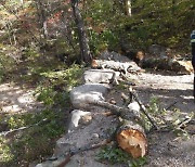 "통제 안해서 사고 났다"···'초속 36.8m 강풍' 설악산, 사상자 발생