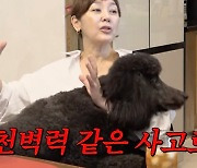 "죽으려고 했었다" 이승연, 다사다난 사건사고 언급하며 눈물('A급장영란')[종합]