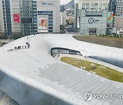 동대문디자인플라자 루프탑 투어 사전공개