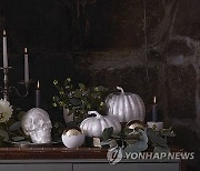 Homes-Stylish Halloween Parties