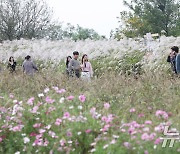 [오늘의 날씨] 광주·전남(24일, 목)…아침 5~10도 쌀쌀, 일교차 커