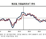 충북 제조업 경기심리 2개월 연속 '비관세'…다음 달도 하락 전망