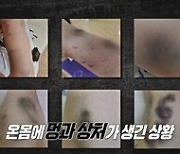 유명 성악가 딸 "5살부터 폭력 당해…뺨 때리고 머리채 잡혔다"('실화탐사대')