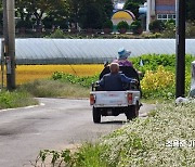 [이미지 다이어리] 여보, 오늘은 내가 운전할께