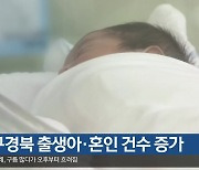 대구·경북 출생아·혼인 건수 증가